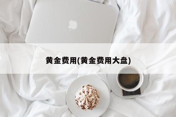 黄金费用(黄金费用大盘)