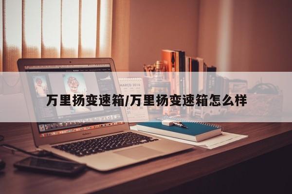 万里扬变速箱/万里扬变速箱怎么样