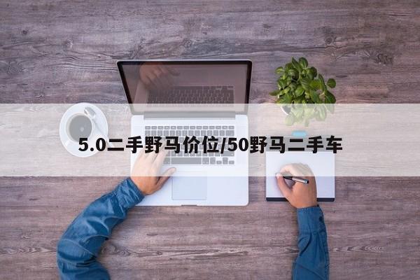 5.0二手野马价位/50野马二手车