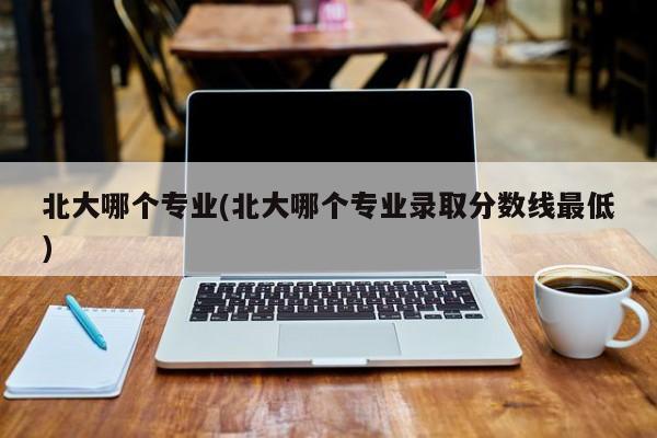北大哪个专业(北大哪个专业录取分数线最低)