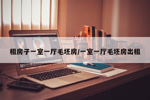 租房子一室一厅毛坯房/一室一厅毛坯房出租