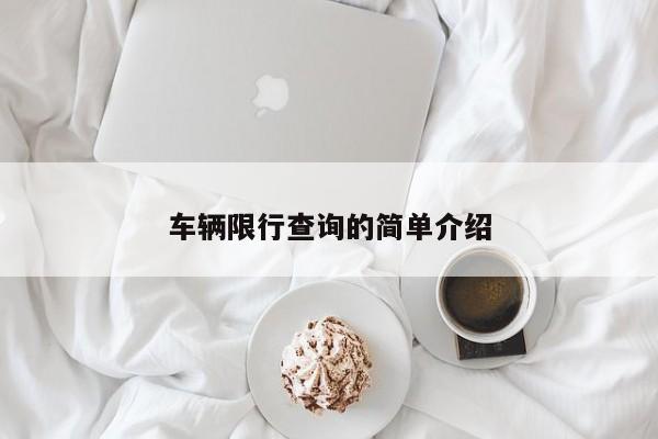 车辆限行查询的简单介绍